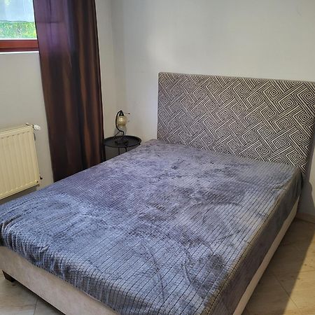 Ivlo Apartment Pszczyna Bagian luar foto